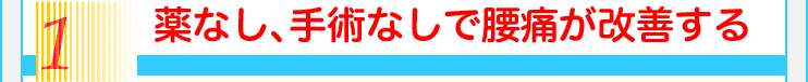 1薬なし、手術なしで腰痛が改善する