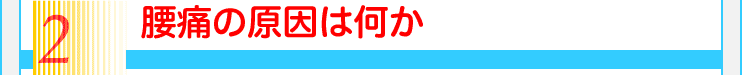 2腰痛の原因は何か