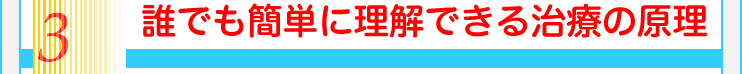 3誰でも簡単に理解できる治療の原理