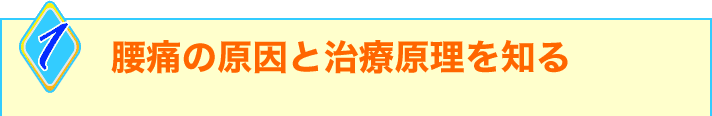 1腰痛の原因と治療原理を知る