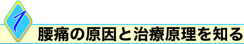 1.腰痛の原因と治療原理を知る